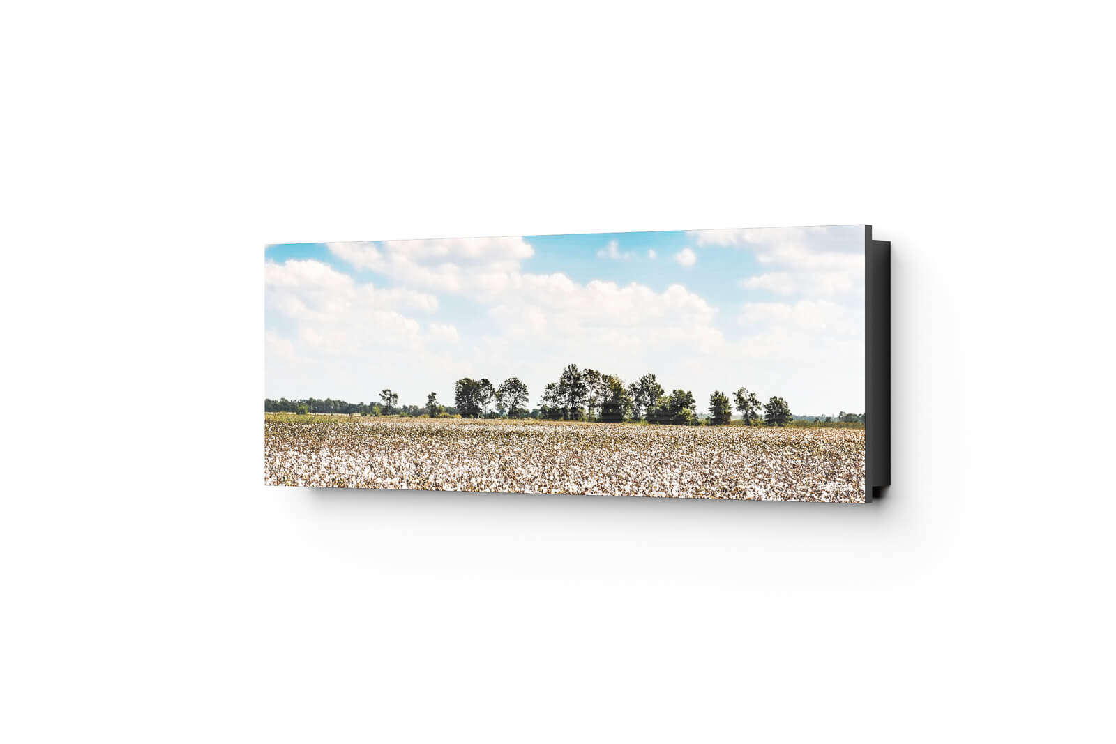 APPENDIABITI PIEGHEVOLE<br>Finitura: Antina Stampata<br>Wide – 12 Ganci